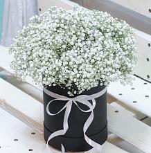 Цветочная композиция из Гипсофила в шляпной коробке #REPLACE_PRED# Садовом Республика Дагестан